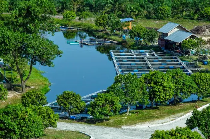 Best Pekanbaru Tourist Destinations for a Fun and Memorable Vacation on Sumatra Island