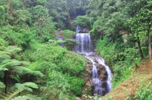 Gorobog Waterfall