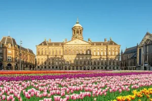 Must-Visit Tourist Attractions in Amsterdam